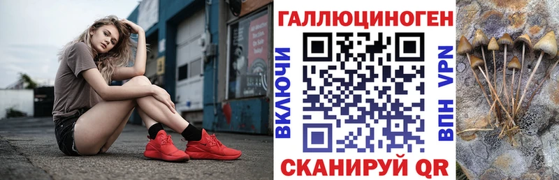 это Telegram  Новая Ладога  Псилоцибиновые грибы мицелий 